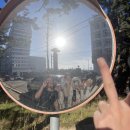 독도회센터 이미지