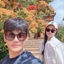 칠갑목장 | 베트남 나트랑 여행) 3일차 : 데이사막투어(양떼목장,판랑사막,포롱자라이)-공항