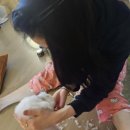 미미홈케어 이미지