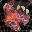 기린초등학교 | [쑤블로그]_단양숙소 / 단양감성숙소 / 개별바베큐 : 꽃들의 물감찾기펜션 (기린초 후기)