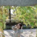 상동호수공원 이미지