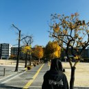 봉화여자중·고등학교 | 선택 진학고민, 자사고? 일반고? 특성화고는 어때? 송파 일신여자상업고등학교 일신여상 마이스터캠프 후기