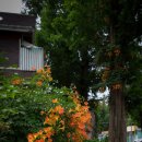 GS25 담양백동점 이미지