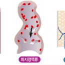 미래외과 이미지