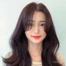 봄;헤어룸 이미지