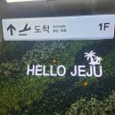 웨딩촬영 제주도웨딩화보 제주스냅 총정리 ( 제주의 오후 + 뷰티인사이드 + 더수트옴므 + 비올론플라워 )