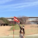 파인비치A | 양잔디와 금잔디 차이?! 우리나라 유일 금잔디골프장 금잔디로 교체한 파인비치골프장 직접다녀온후기