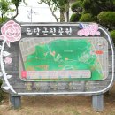 크린토피아 부천지사 | 부천 백만송이장미원 후기 장미 만개한 서울 근교 꽃구경 명소(+주차 정보)