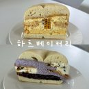 옥샌드 | <하츠베이커리> NEW 타로버블, 옥슈카라멜 샌드베이글 솔직후기 | 잠실 롯데월드몰 팝업