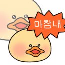 루루순대