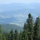 감동푸드 이미지