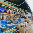 한월횟집 이미지