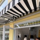 콩이랑 초이랑 이미지