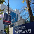 서울대학교병원 의학박물관 | 서울대병원에 멋진 의학 박물관이 있네요 ~