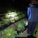 고요히 민박 이미지