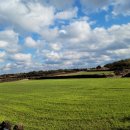 백송공인중개사사무소 이미지