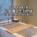 웰니스더한남 네이버블로그