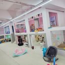 광명 사거리 마미 키즈카페 &amp; 레스토랑 후기