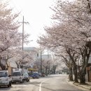 효돈로 이미지