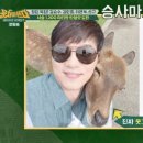 대가일식