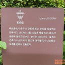 연화공원 영화의전당 네이버블로그