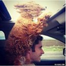 펫드라이브 이미지