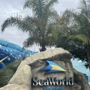 레고닥터A | 아이랑 미서부여행 미국 샌디에이고(San Diego) 씨월드(SeaWorld) 방문 후기