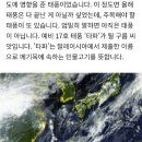 이번 주말 또 태풍!?…예비 17호 ‘타파’ 경보 이미지