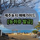 JY공인중개사사무소 이미지