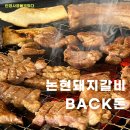빽돼지