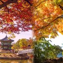 가을에 꼭 가볼만한 서울 궁궐과 단풍이 최고의 조화를 이루는 곳.. 이미지