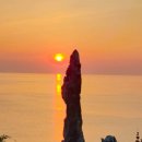 고토리 - 608051 | 고토리