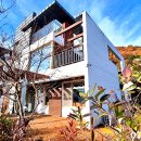 나비채 하우스 이미지