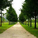 새소리물소리 이미지