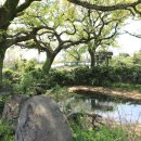 청수목장 이미지