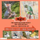 앵페스타 이미지