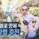 신평동1080 | [내돈내산 리뷰] 🌸경주 벚꽃 어디서 볼까? | 경주 벚꽃 데이트 코스 추천 | 경주 당일치기 데이트 코스🌸