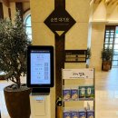 대명세탁소 | 진도여행 대명쏠비치리조트 겨울12월여행 찐 후기 및 총정리