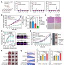 주형메디칼 이미지