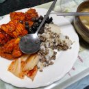 댕댕하동 이미지