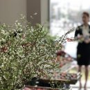 케이씨씨오토 이미지