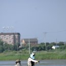 보트 이미지