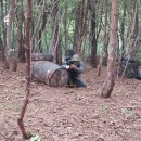 (주)지우미디어