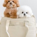 소명메디칼 이미지