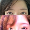 진흥로 | 은평구 소문난 속눈썹펌 맛집 베네뷰티 민아실장님 내돈내산 후기