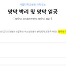H3339 이미지