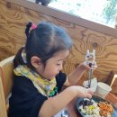 황새경로당 | 제3회 예산황새축제*황새보고 사과먹고 예당호 공원 돌아보기! (feat.예당뷔페)