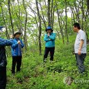정선발전연구소