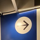 건배식당 | 기흥 이케아 영업시간 식당 푸드코트 후기