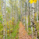 영월화석박물관 | 강원도 태백 삼척 가볼만한곳 감탄로드 1박2일 여행코스 추천